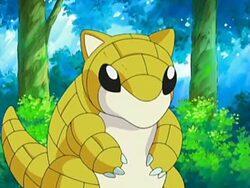 Sandshrew in Pokemon anime