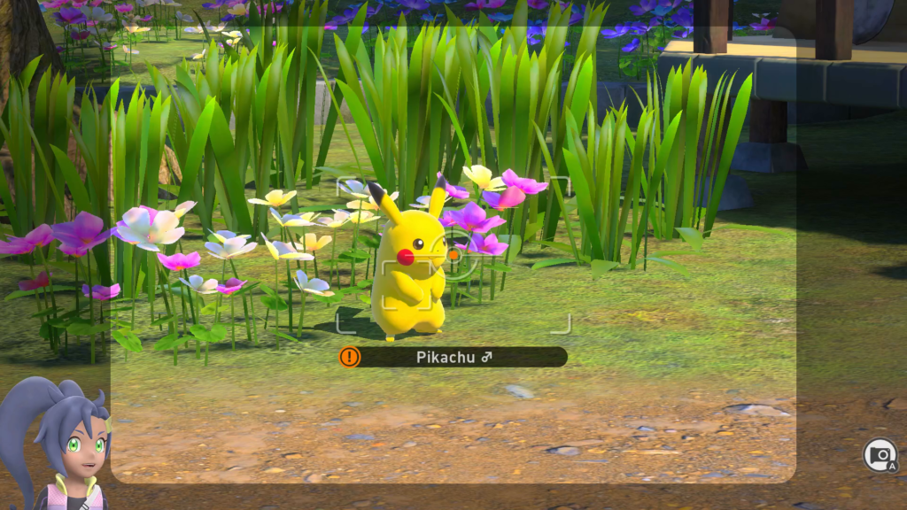 New Pokemon Snap Pikachu Photograph