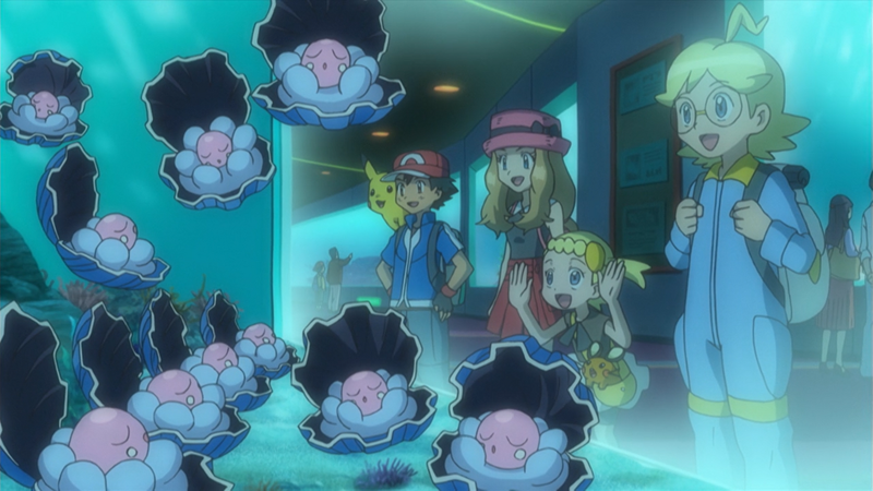 Clamperl shown in the Pokemon Anime
