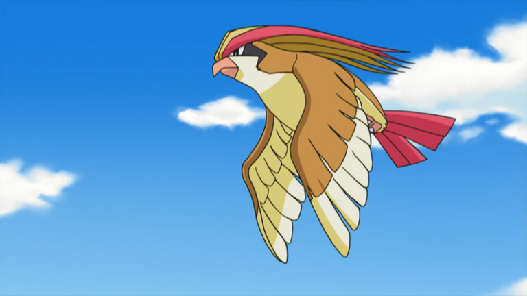 New Pokemon Snap: Where to find Pidgeot