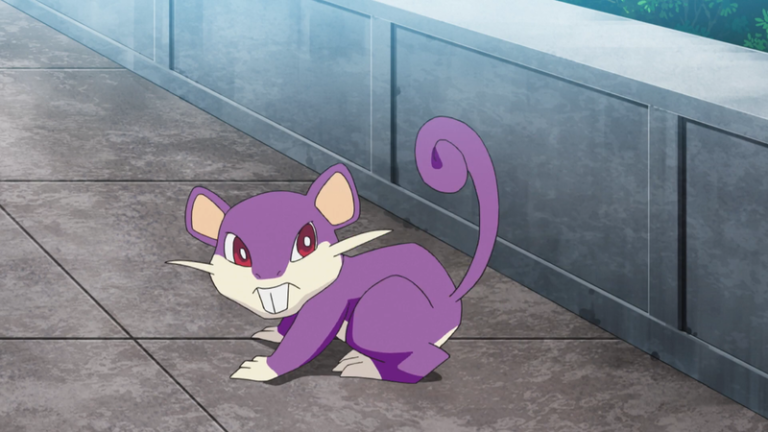 New Pokemon Snap: Where to find Rattata