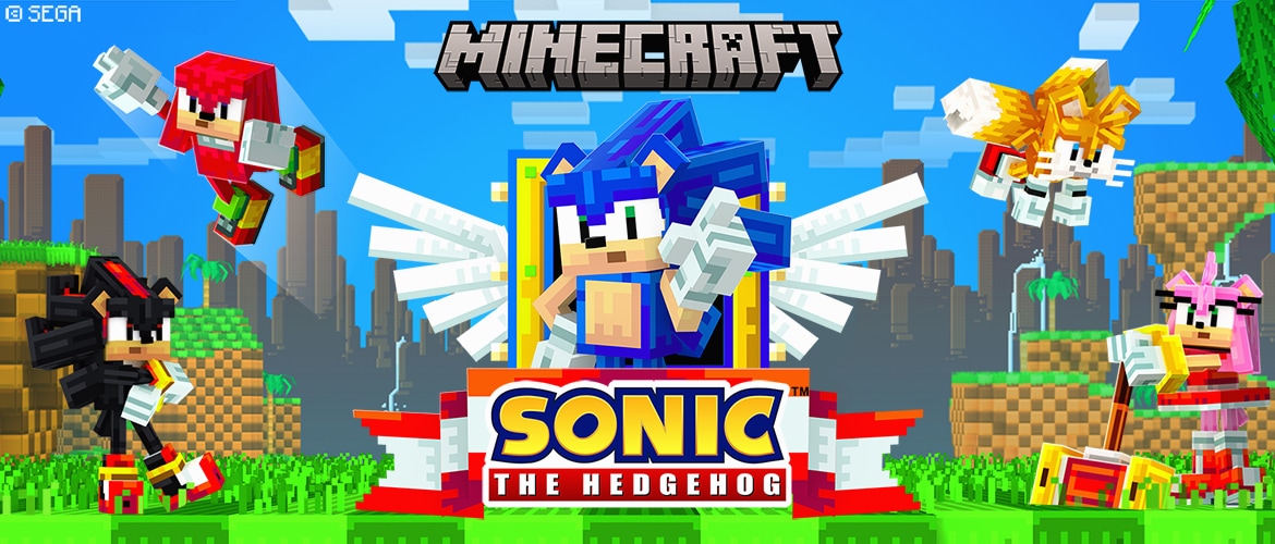 Minecraft Sonic Art