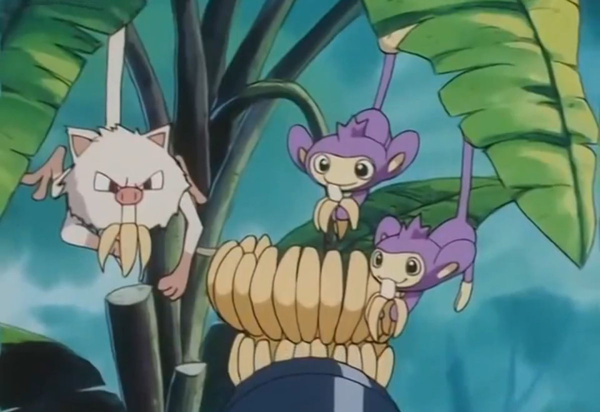 Aipom and Mankey in the Pokemon Anime