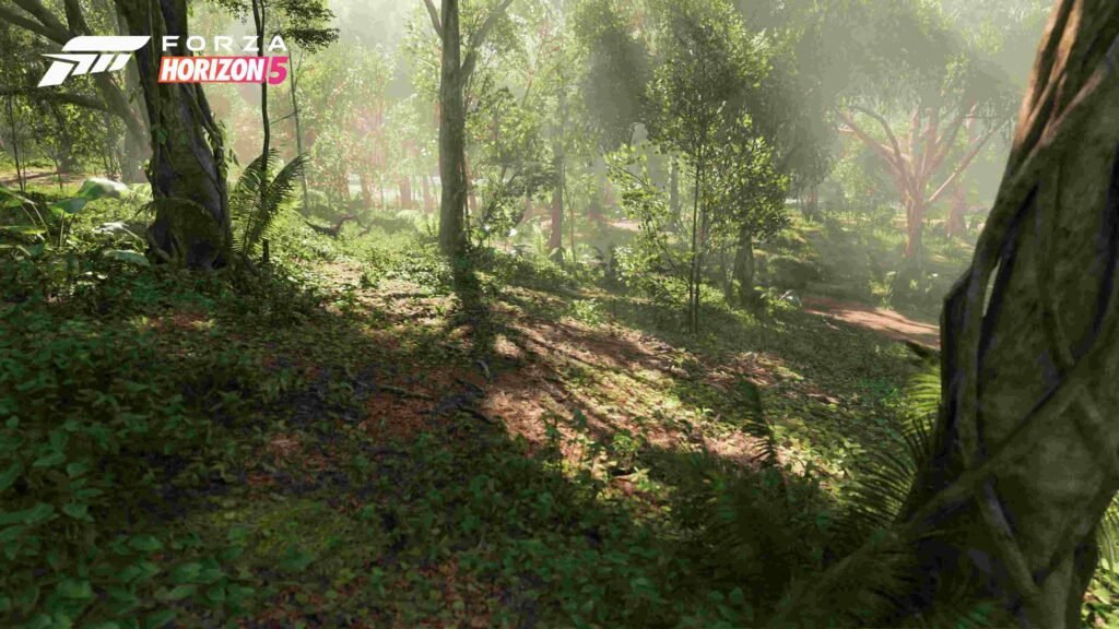 Forza Horizon 5 Jungle Biome