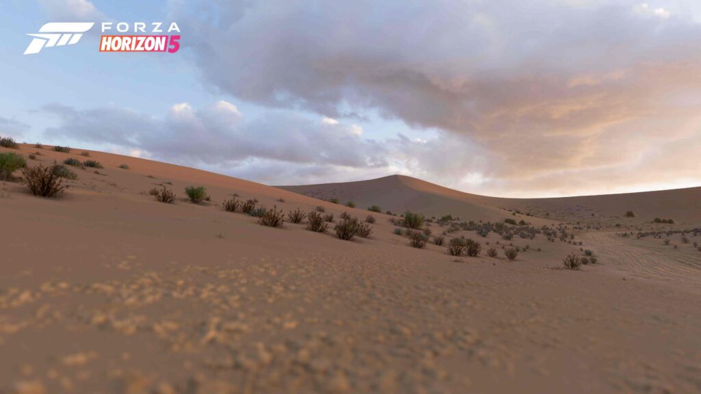 Forza Horizon 5 Sand Desert Biome