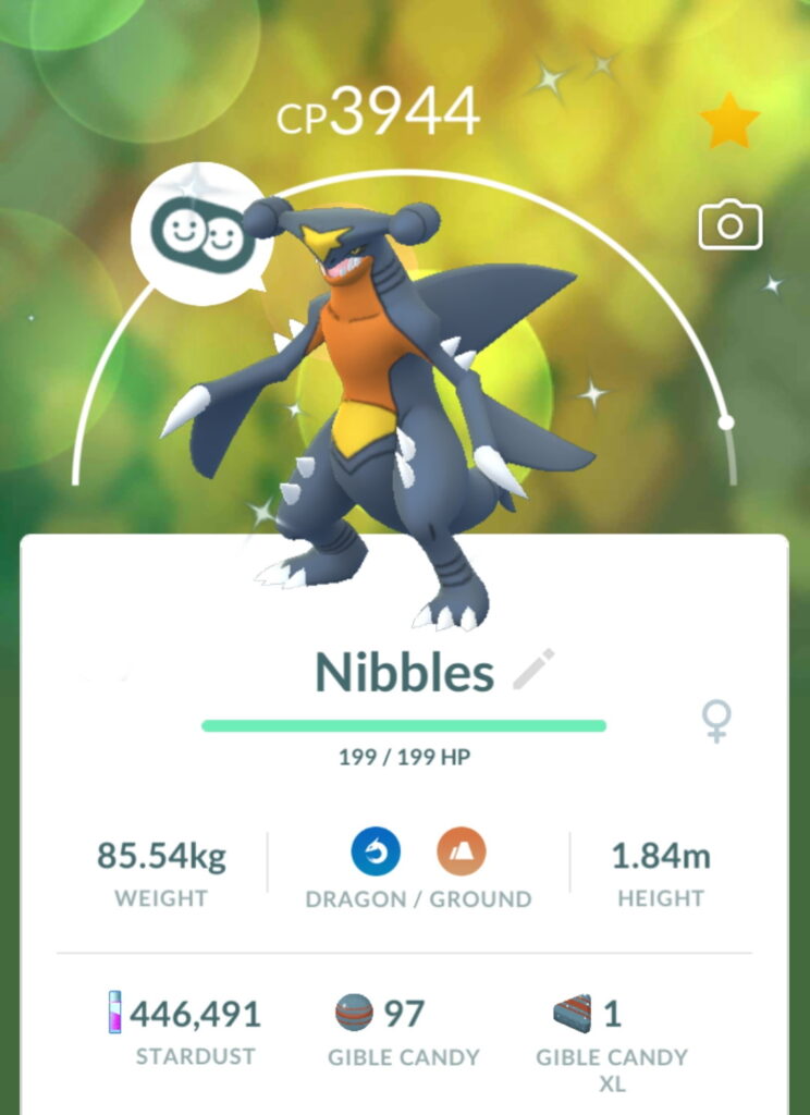 Nibbles, a nicknamed Garchomp in Pokemon Go