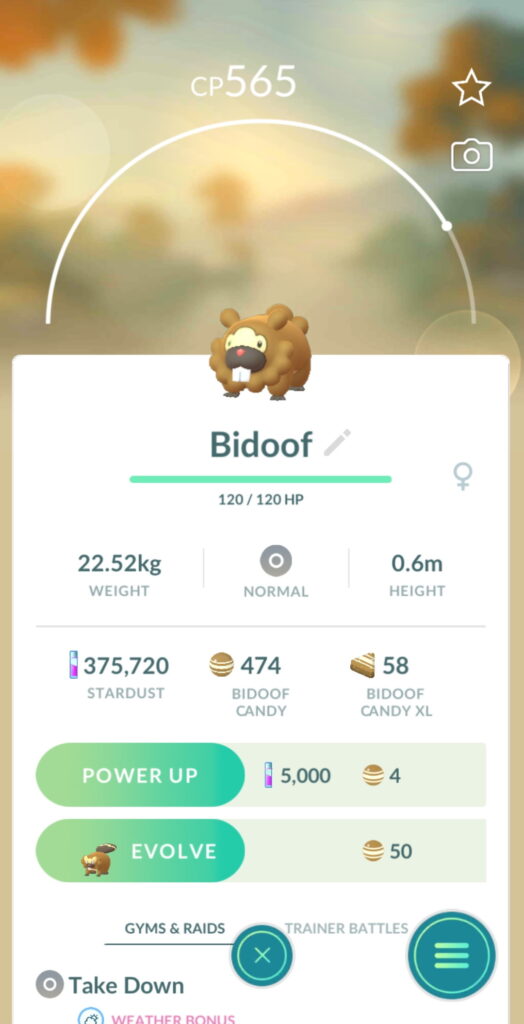 Bidoof selected in Pokemon Go screen