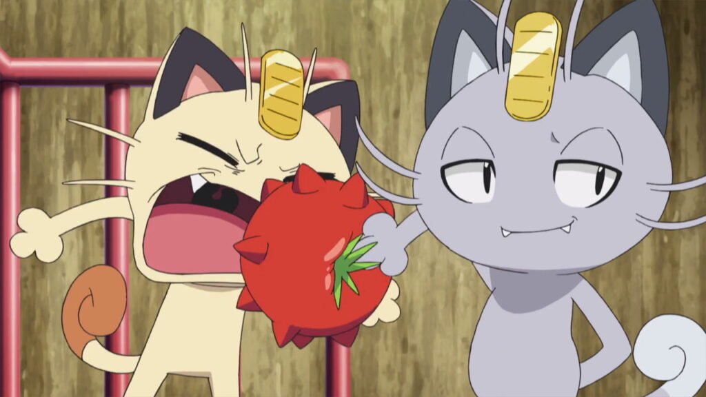 Meowth and Alolan Meowth in the Pokemon Anime