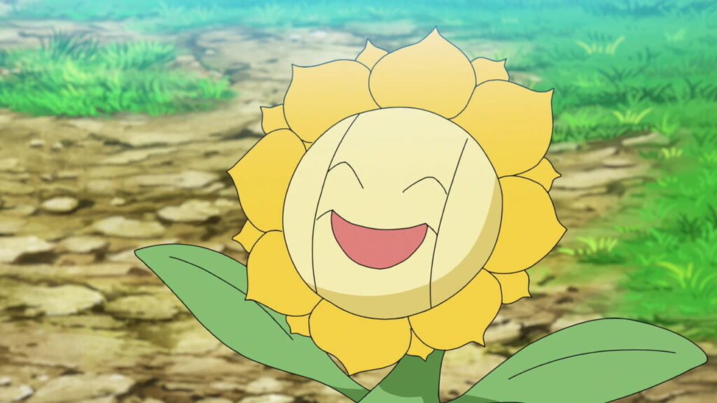 Sunflora in the Pokemon Anime