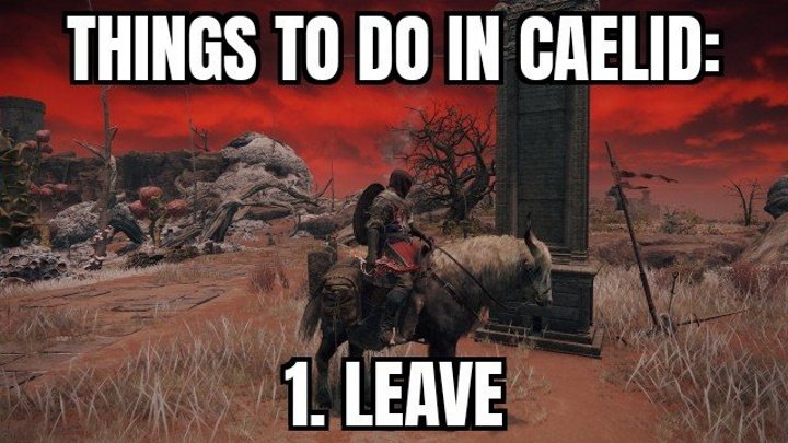 10 Best Elden Ring Memes Every Tarnished Will Understand