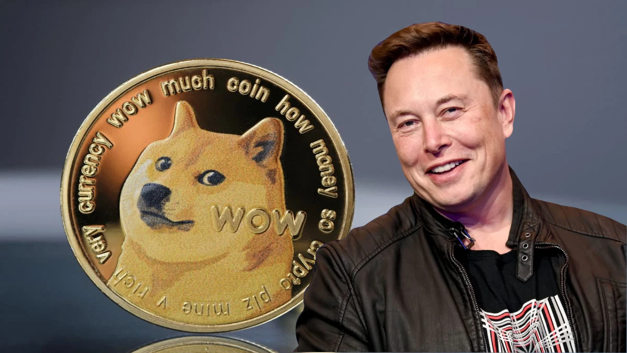 Dogecoin Elon Musk Twitter Thumbnail