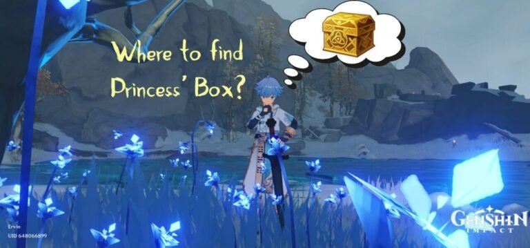 Genshin Impact: Princess’ Box Location