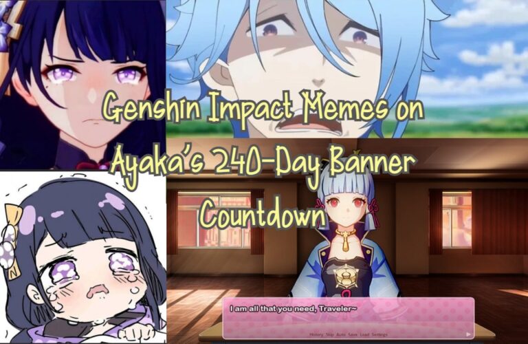 Genshin Impact: Community memes Ayaka 240 day banner