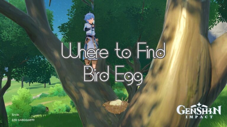 Genshin Impact: Where to Find Bird Egg