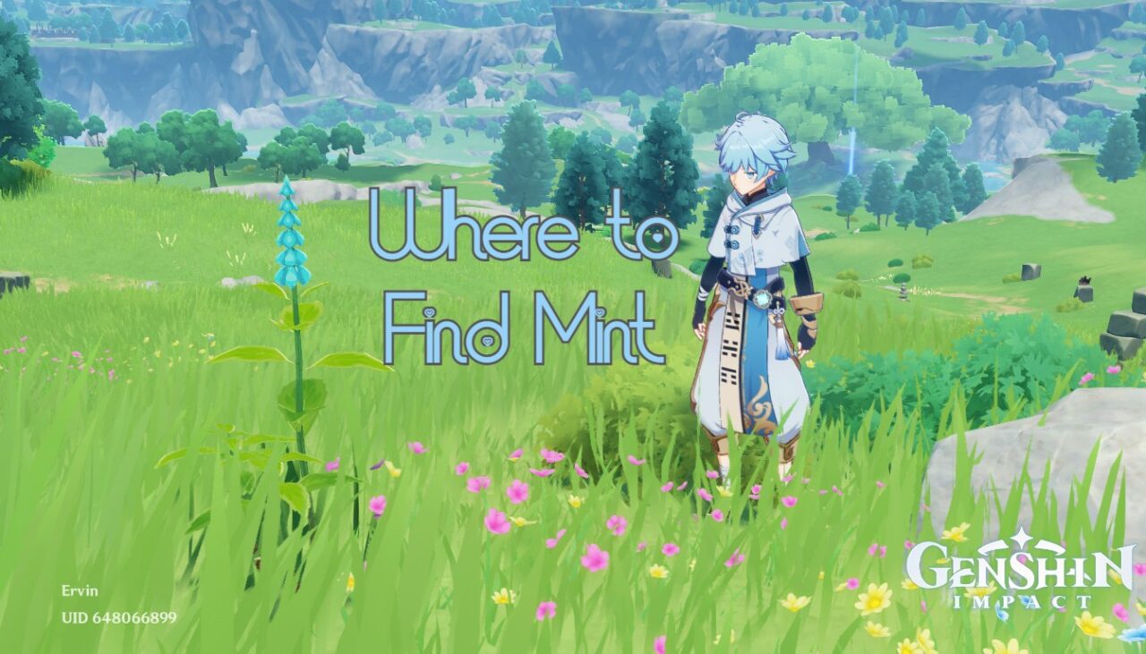 Genshin Impact: Where to Find Mint (Updated December…