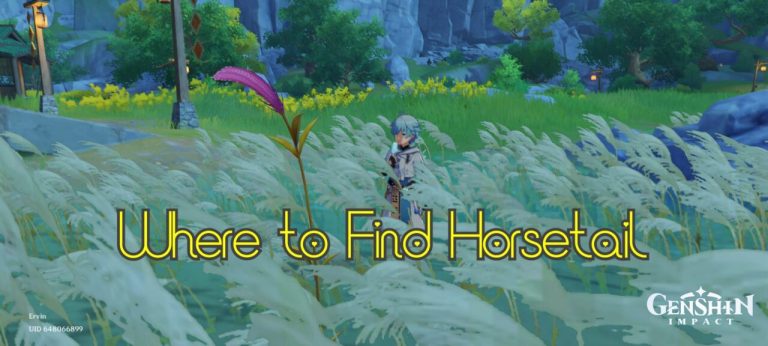 Genshin Impact: Where to Find Horsetail