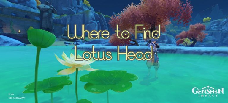 Genshin Impact: Where to Find Lotus Head