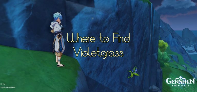 Genshin Impact: Where to Find Violetgrass