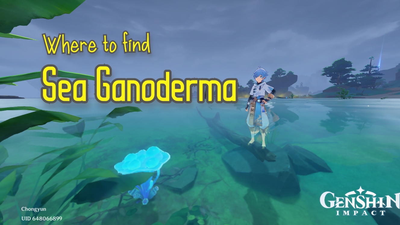 Genshin impact - Where to find Sea Ganoderma