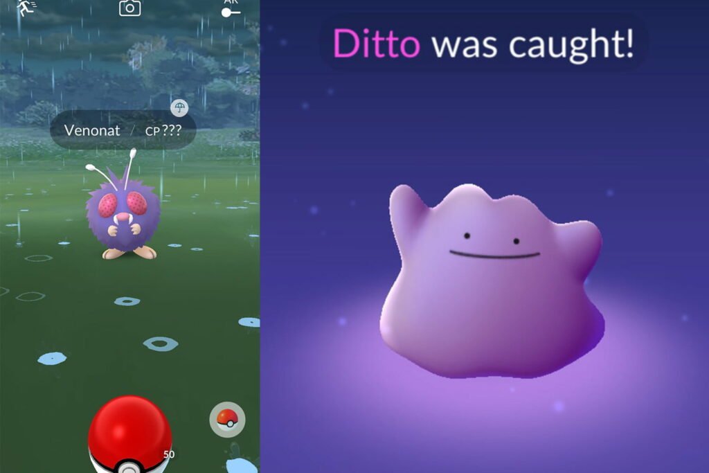 Ditto disguises November 2022
