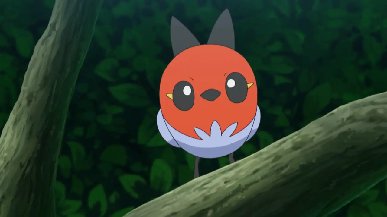 Fletchling in the pokemon anime
