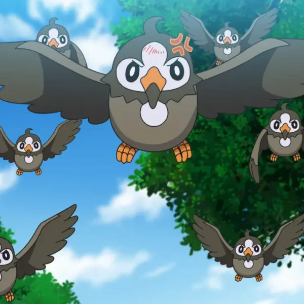 Starly in the pokemon anime