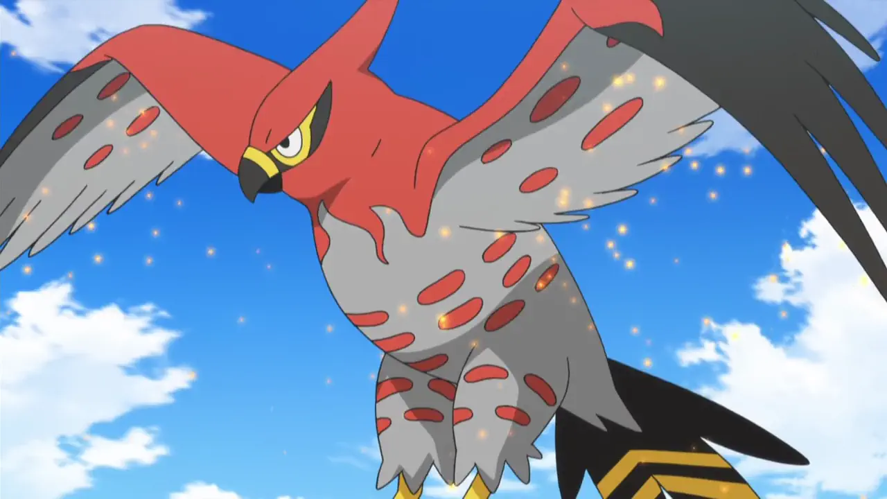 Talonflame in the pokemon anime