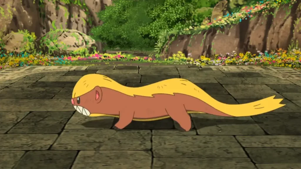 Yungoos in the pokemon anime