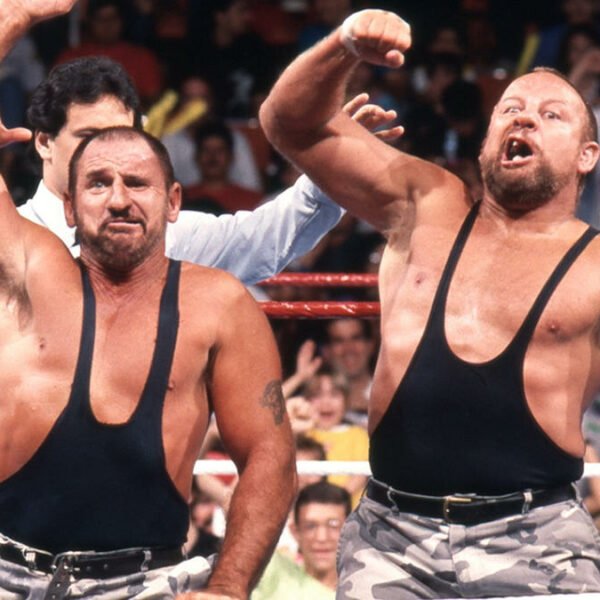 WWE The Bushwackers